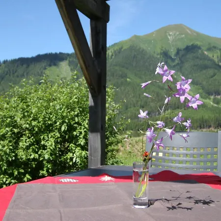 Chalet Feriendorf Chalet Type C Hohentauern